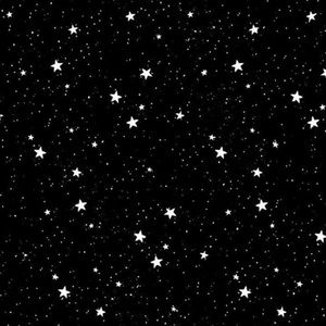 Meet your Posher, Zoey